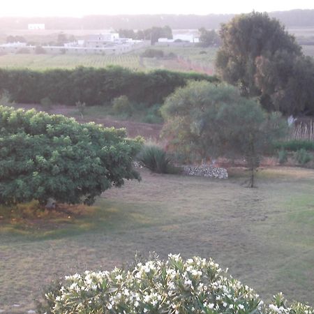 מלון אל ג'אדידה Dar Al Manar מראה חיצוני תמונה