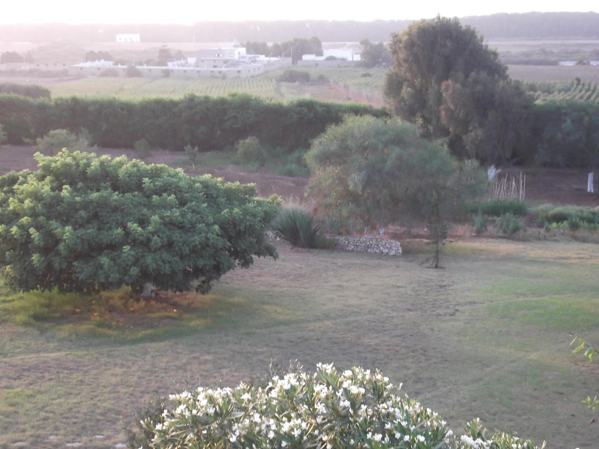 מלון אל ג'אדידה Dar Al Manar מראה חיצוני תמונה
