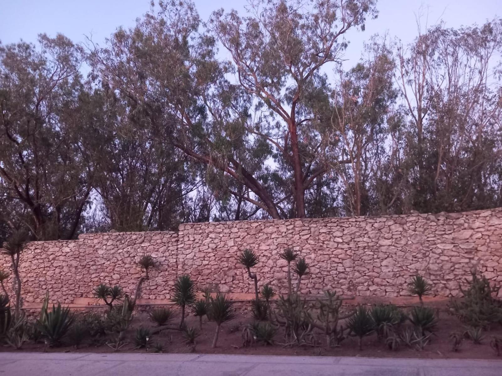 מלון אל ג'אדידה Dar Al Manar מראה חיצוני תמונה
